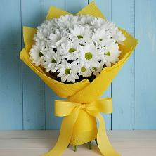 Букет цветов из:  Хризантемы в Поселок дачного хозяйства Архангельское