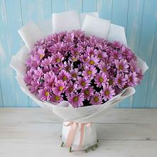 Букет цветов из:  Хризантемы #REPLACE_PRED# Поселок дачного хозяйства Архангельское