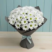 Букет цветов из:  Хризантемы в Поселок дачного хозяйства Архангельское