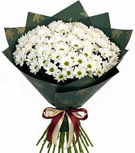 Букет цветов из:  Хризантемы #REPLACE_PRED# Поселок дачного хозяйства Архангельское